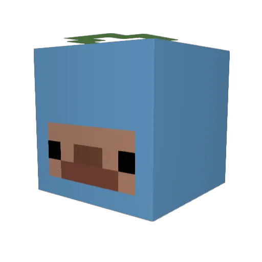 SAYHIII2004 Minecraft avatar head, 3D render
