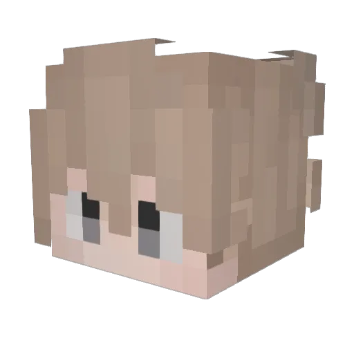 SAY_NAY Minecraft avatar head, 3D render