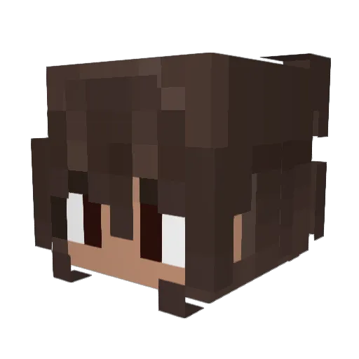 SAliz23 Minecraft avatar head, 3D render