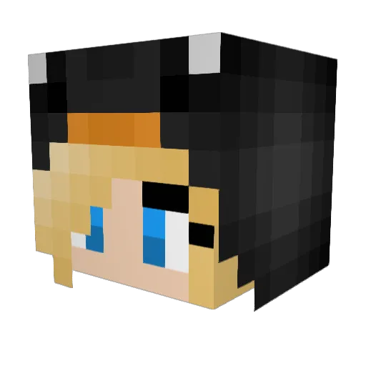SB48 Minecraft avatar head, 3D render