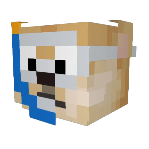 SBB3AST Minecraft avatar head, 3D render