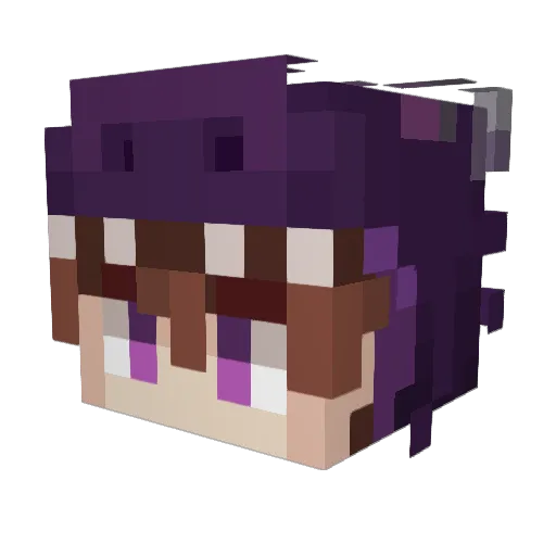 SBGKarlinho Minecraft avatar head, 3D render