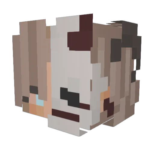 SBRI75 Minecraft avatar head, 3D render