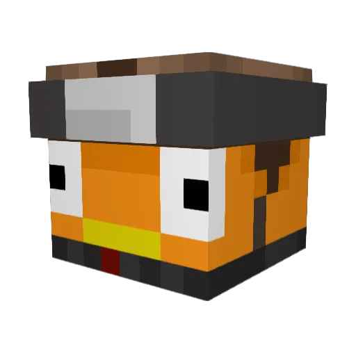 SBSNDC Minecraft avatar head, 3D render