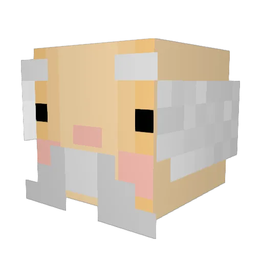 SB_19 Minecraft avatar head, 3D render