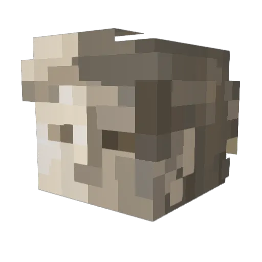 SB_CArTeR Minecraft avatar head, 3D render