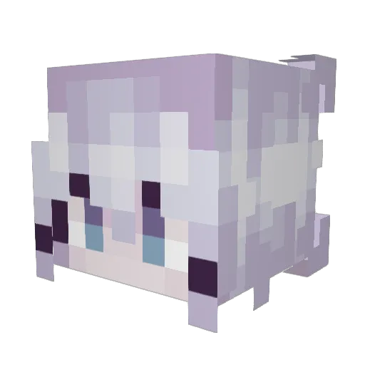 SB_CMR_Talana Minecraft avatar head, 3D render