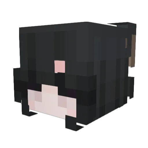 SBloom11 Minecraft avatar head, 3D render