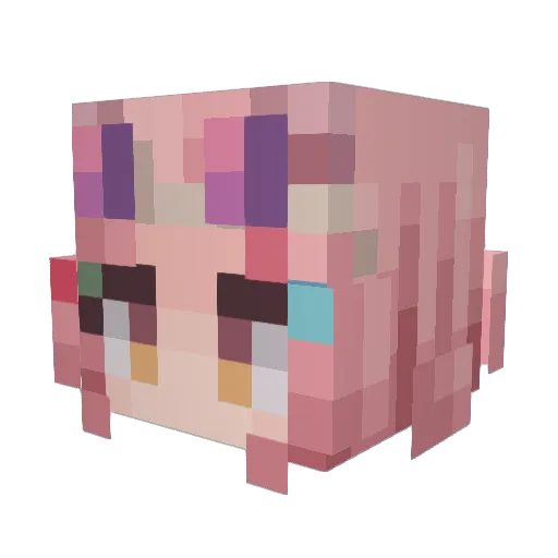 SCAege Minecraft avatar head, 3D render