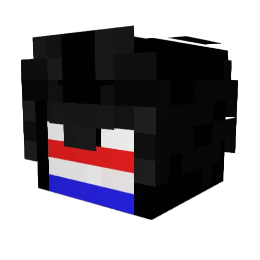 SCH00LSH00TER Minecraft avatar head, 3D render