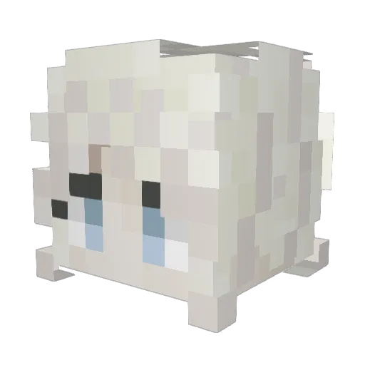 SCHD Minecraft avatar head, 3D render