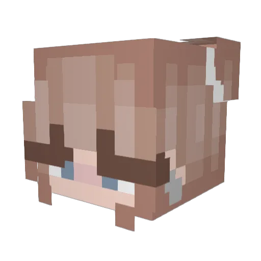 SCHISON Minecraft avatar head, 3D render