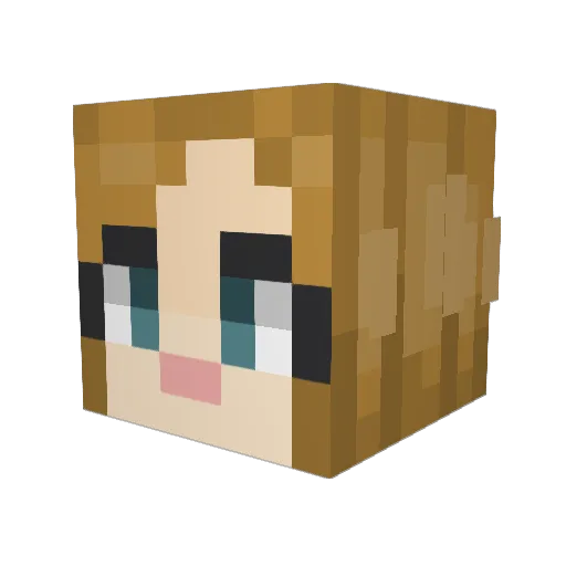 SCHOUT55 Minecraft avatar head, 3D render