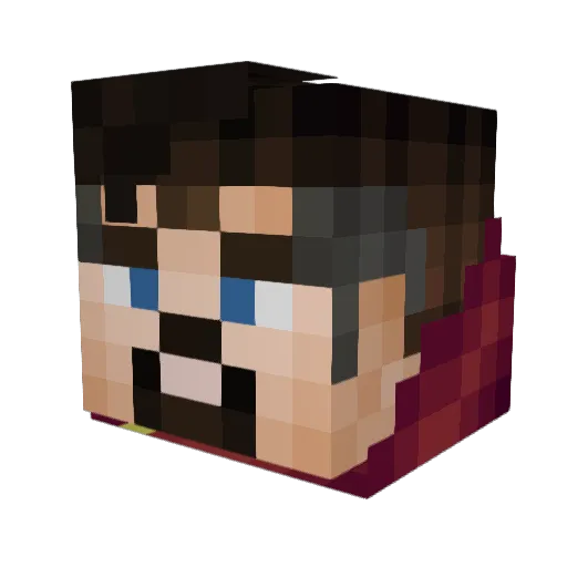 SCI3NC3 Minecraft avatar head, 3D render