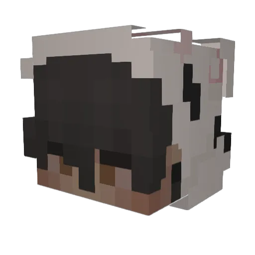 SCOERN Minecraft avatar head, 3D render