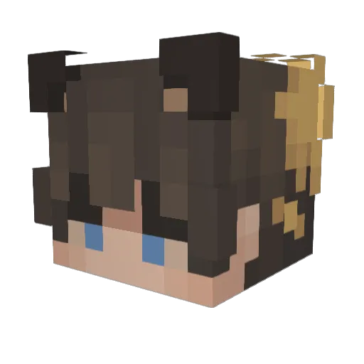SCOTT_67 Minecraft avatar head, 3D render