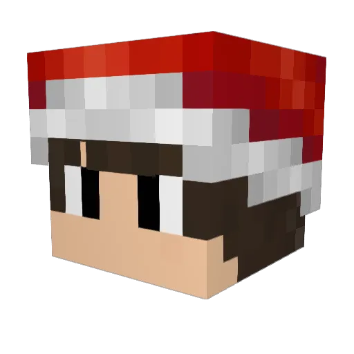 SCOTTzinho Minecraft avatar head, 3D render