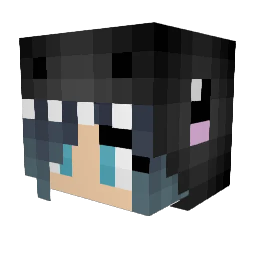 SCP_102 Minecraft avatar head, 3D render