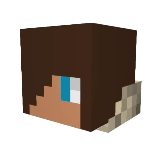 SCRIBBLEnDOODLE Minecraft avatar head, 3D render