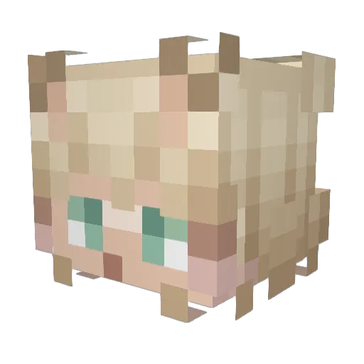 SCYHQWMJ Minecraft avatar head, 3D render