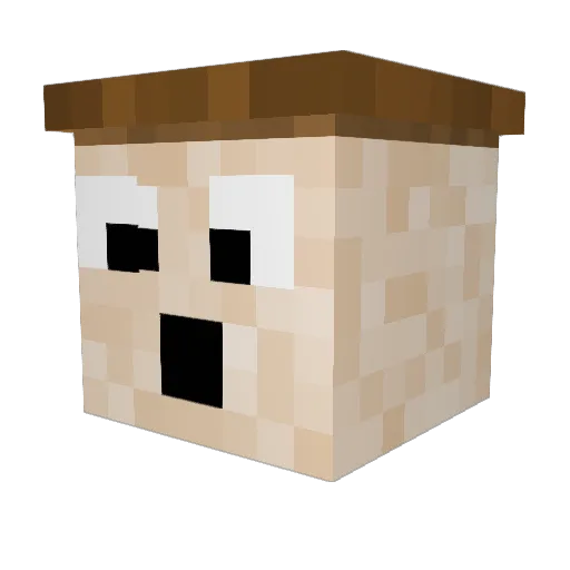 SC_Alaska Minecraft avatar head, 3D render