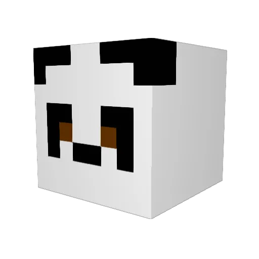 SClarke9 Minecraft avatar head, 3D render