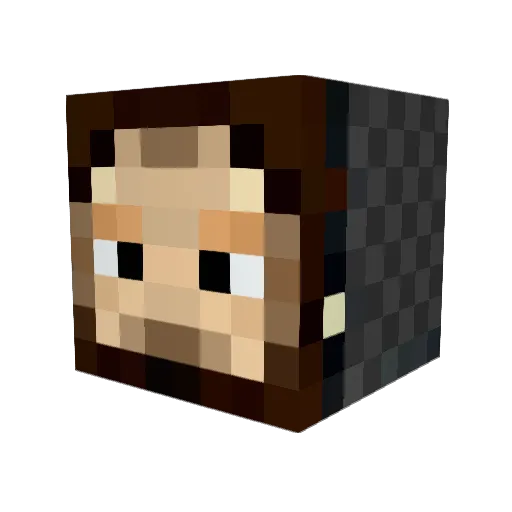 SCox13 Minecraft avatar head, 3D render