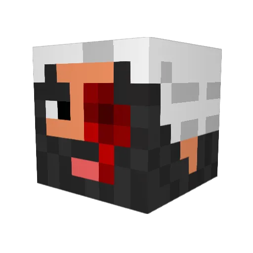 SCurran11 Minecraft avatar head, 3D render