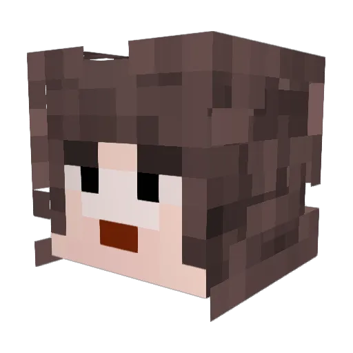 SDB_DarkNinja Minecraft avatar head, 3D render