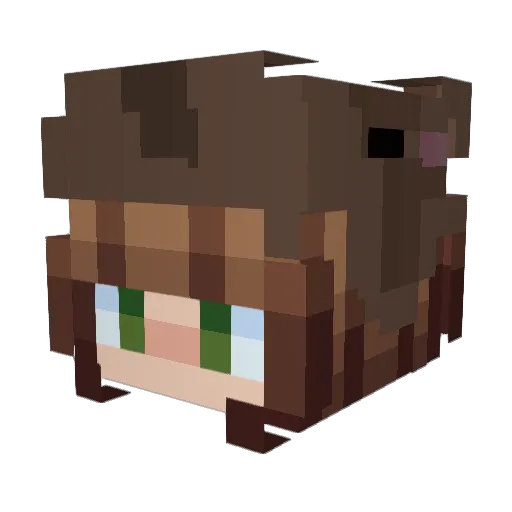 SDCysf Minecraft avatar head, 3D render