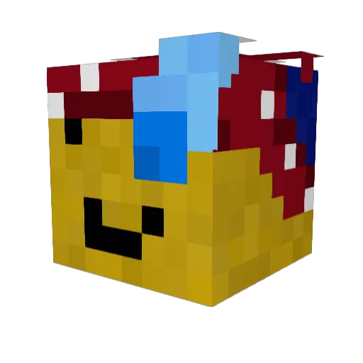 SDGNelson Minecraft avatar head, 3D render