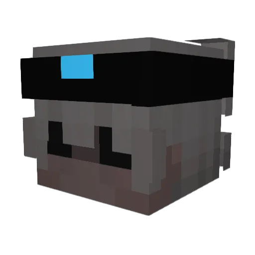 SDHartyChalL Minecraft avatar head, 3D render