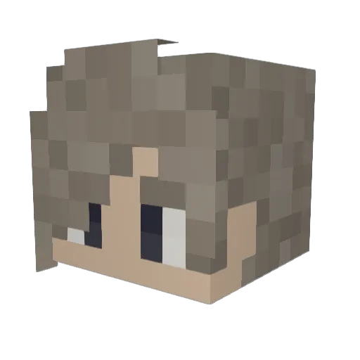 SDMnetwork Minecraft avatar head, 3D render