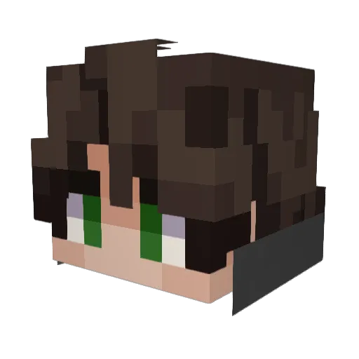 SDN_bruh Minecraft avatar head, 3D render