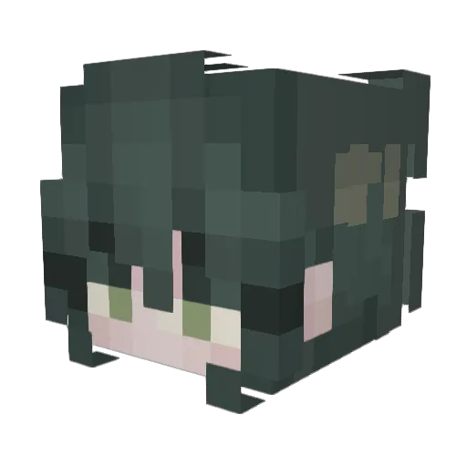SDRQP Minecraft avatar head, 3D render