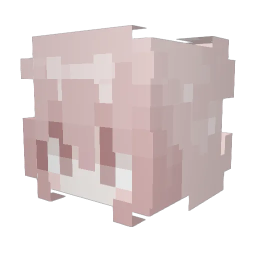 SDSIYEON Minecraft avatar head, 3D render