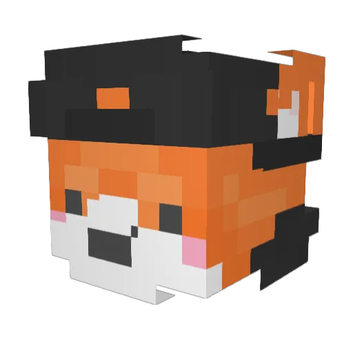 SDVDFD Minecraft avatar head, 3D render