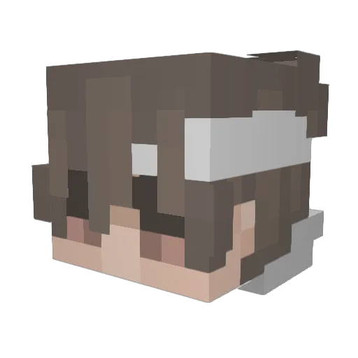 SDeKay Minecraft avatar head, 3D render