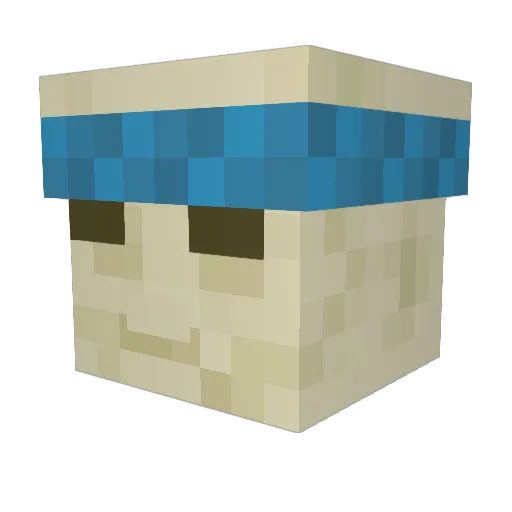 SDhotline Minecraft avatar head, 3D render