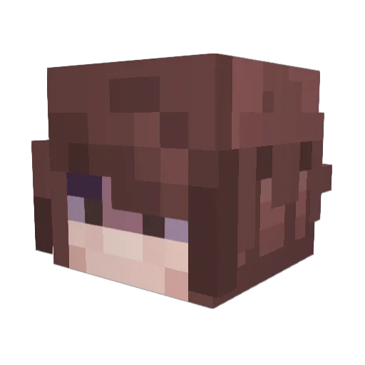 SDinnit Minecraft avatar head, 3D render