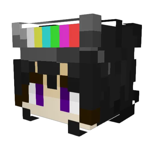 SDtempest7238 Minecraft avatar head, 3D render