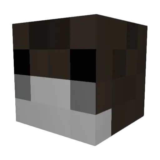 SEABIIRD Minecraft avatar head, 3D render