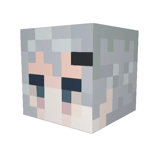 SEAK812 Minecraft avatar head, 3D render