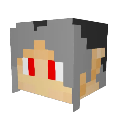 SEALTEAMLEADER Minecraft avatar head, 3D render
