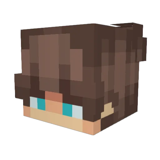 SEANANIMATIONS Minecraft avatar head, 3D render