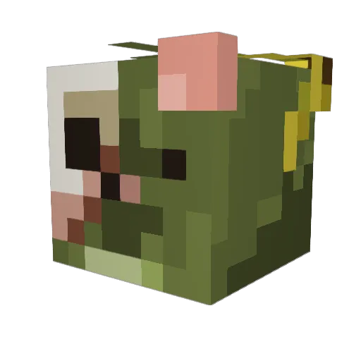 SEA_ROISE666 Minecraft avatar head, 3D render