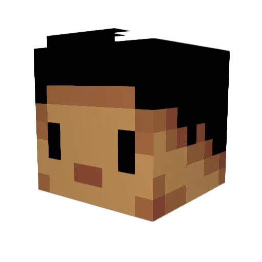 SEBASMASH Minecraft avatar head, 3D render