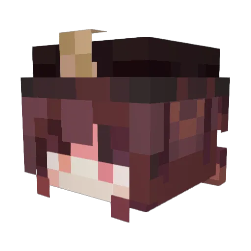 SEDUCT0R Minecraft avatar head, 3D render