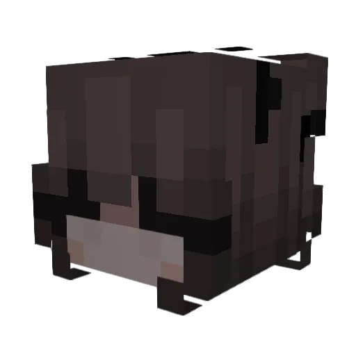 SEEEEENNN Minecraft avatar head, 3D render