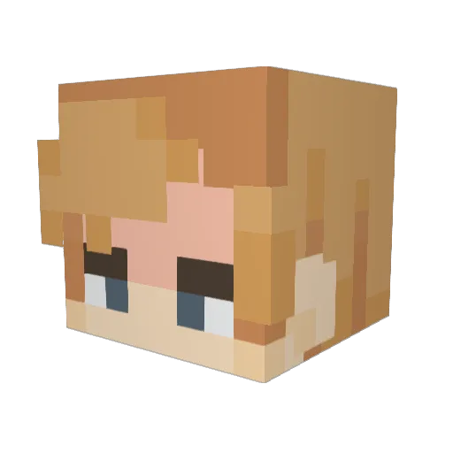 SEEINCO Minecraft avatar head, 3D render